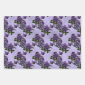 Feuille De Papier Cadeau Crâne gothique pourpre et gris en pierre (Devant)