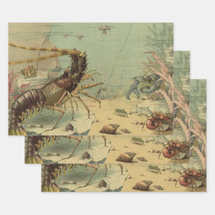 Feuille De Papier Cadeau Crevettes, Vie sous-marine, Animaux marins vintage