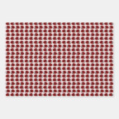 Feuille De Papier Cadeau Crimes agressés Tortue de Ladybug (Devant 2)