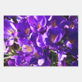 FEUILLE DE PAPIER CADEAU CROCUS DE PRINTEMPS (Devant 2)