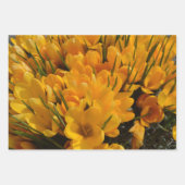 Feuille De Papier Cadeau Crocus jaunes - Happy Floral Heralds of Spring (Devant 2)
