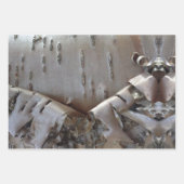 Feuille De Papier Cadeau Curly Birch Bark Tree Rustic (Devant 2)
