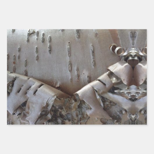 Feuille De Papier Cadeau Curly Birch Bark Tree Rustic (Devant)