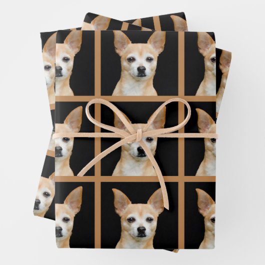 Feuille De Papier Cadeau Cute Chihuahua Chien noir Tan Motif Design (En situation)