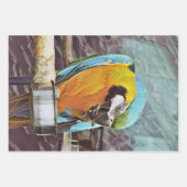 FEUILLE DE PAPIER CADEAU CUTE MACAW (Devant 2)