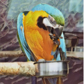 FEUILLE DE PAPIER CADEAU CUTE MACAW
