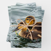 Feuille De Papier Cadeau Cute Mallard Ducklings Photo (En situation)