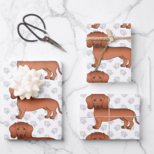 Feuille De Papier Cadeau Dachshund aux cheveux courts rouges motif de chien