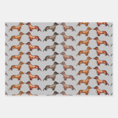 Feuille De Papier Cadeau Dachshund, chien de saucisse (Devant 2)