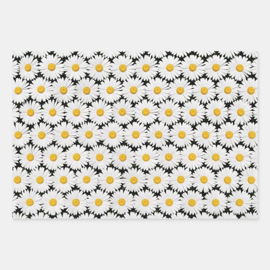 Feuille De Papier Cadeau Daisers (Devant)
