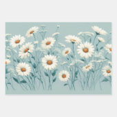 Feuille De Papier Cadeau Daisy Généreuse (Devant 3)