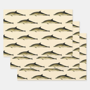 Feuille De Papier Cadeau Dauphin Delphinus Delphis, Animaux Marins Vintage