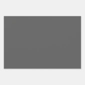 Feuille De Papier Cadeau Davy's Grey Solid Color (Devant)