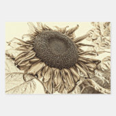 Feuille De Papier Cadeau Découpage à l'ancienne de Sunflower Sepia Tone Vin (Devant 3)