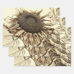 Feuille De Papier Cadeau Découpage à l'ancienne de Sunflower Sepia Tone Vin