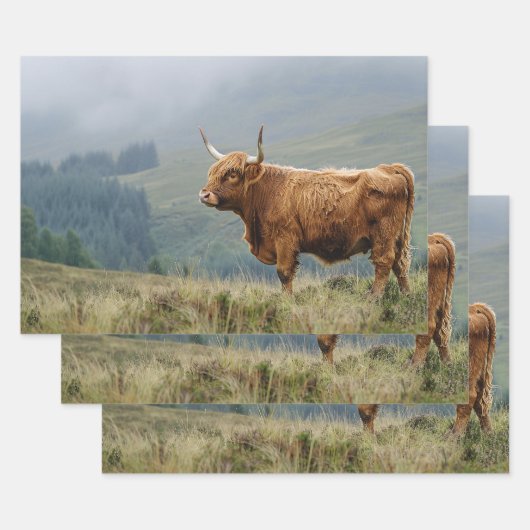 Feuille De Papier Cadeau Découpage du matin de la vache de Highland (Lot)