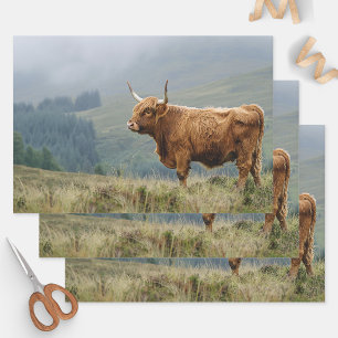 Feuille De Papier Cadeau Découpage du matin de la vache de Highland
