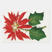 Feuille De Papier Cadeau Découpage rouge à fleurs de Noël Poinsetta (Devant)