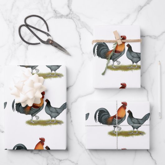 Feuille De Papier Cadeau Delaware Blue Hen (Recto)