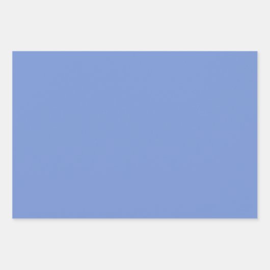 Feuille De Papier Cadeau Delphinium Gingham (Devant 2)