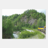 Feuille De Papier Cadeau Denali Express Alaska Train Vacation Photographie (Devant)