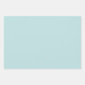 Feuille De Papier Cadeau Dentelle blanche rose de menthe (Devant 2)