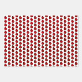 Feuille De Papier Cadeau Design Ladybug (Devant)