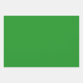 Feuille De Papier Cadeau Design Shamrock vert (Devant 2)