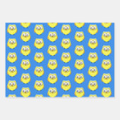 Feuille De Papier Cadeau Dessin de bébé hibou (Devant)