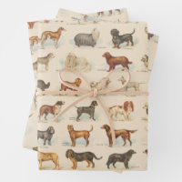Dessins vintages de race de chien à motif