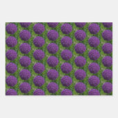 Feuille De Papier Cadeau Devis de motivation parfait violet Allium Allium (Devant 3)