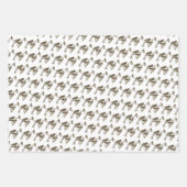 Feuille De Papier Cadeau Diable de Jersey (Devant)