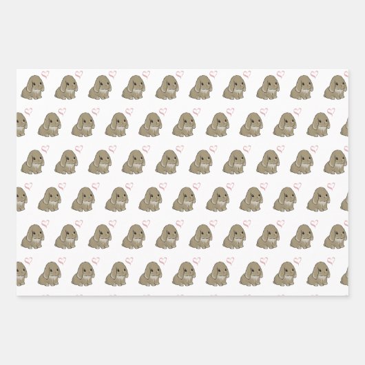 Feuille De Papier Cadeau Différent lapin  (Devant 2)