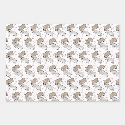 Feuille De Papier Cadeau Différent lapin  (Devant)