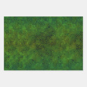 Feuille De Papier Cadeau Dinosaure Vert Caché (Devant)