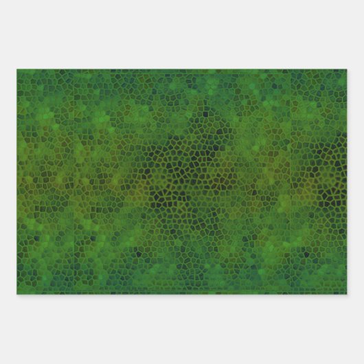 Feuille De Papier Cadeau Dinosaure Vert Caché (Devant)