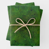 Feuille De Papier Cadeau Dinosaure Vert Caché (En situation)