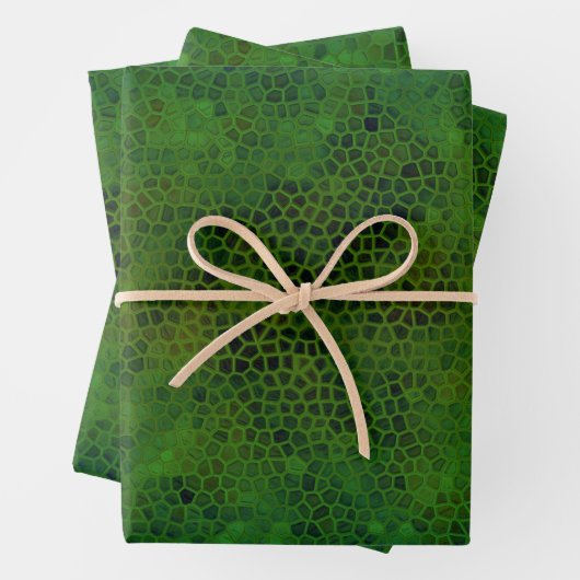Feuille De Papier Cadeau Dinosaure Vert Caché (En situation)