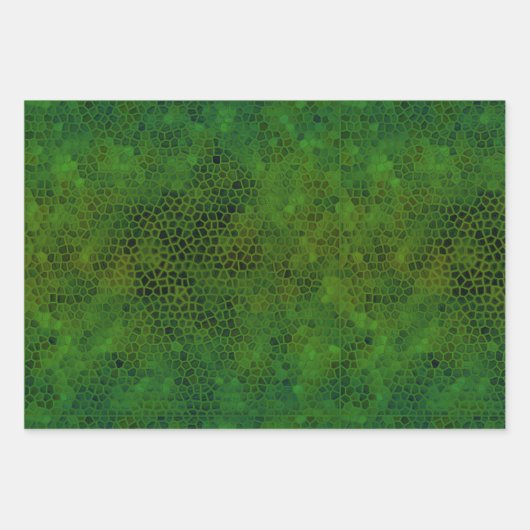 Feuille De Papier Cadeau Dinosaure Vert Caché (Devant 3)