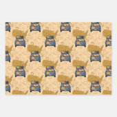 Feuille De Papier Cadeau Diplôme (Devant 3)