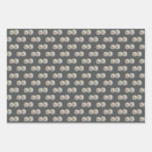 Feuille De Papier Cadeau Dollars De Sable Gris Motif (Devant)