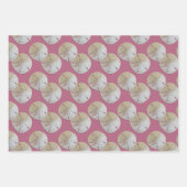 Feuille De Papier Cadeau Dollars De Sable Mauve Pink Motif (Devant 2)