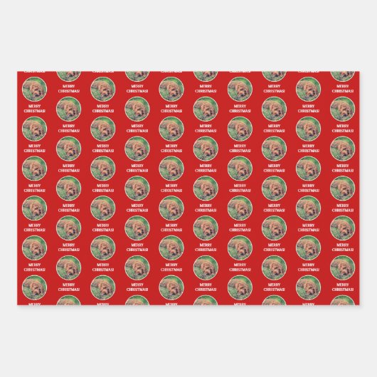 Feuille De Papier Cadeau Doodle d'or (Devant)