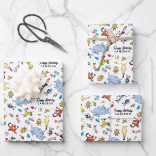 Feuille De Papier Cadeau Dr. Seuss Character Confetti ANNIVERSAIRE DE ENF