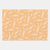 Feuille De Papier Cadeau Dragonfly Minimal (Devant 2)