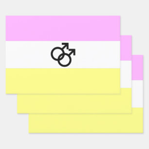Feuille De Papier Cadeau Drapeau de fierté Twink