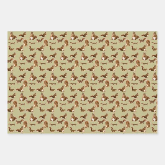 Feuille De Papier Cadeau Écureuil (Devant 2)