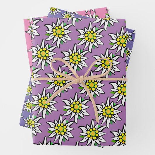 Feuille De Papier Cadeau Edelweiss pur  (En situation)