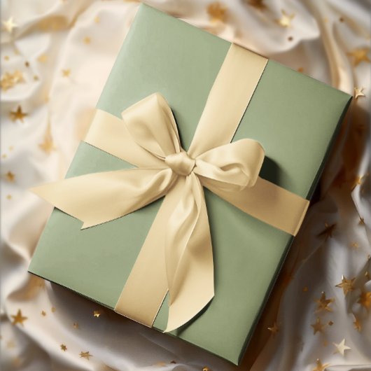 Feuille De Papier Cadeau Élégance bouchée - Ensemble solide 2