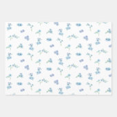 Feuille De Papier Cadeau Elégant Aquarelle Oubliez-Moi Pas Fleurs (Devant)